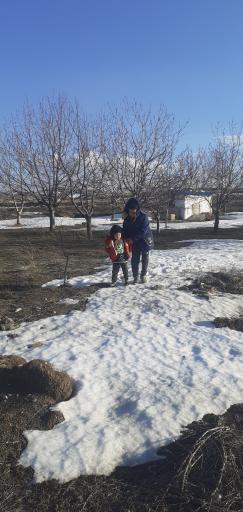 عکس تیکمه داش