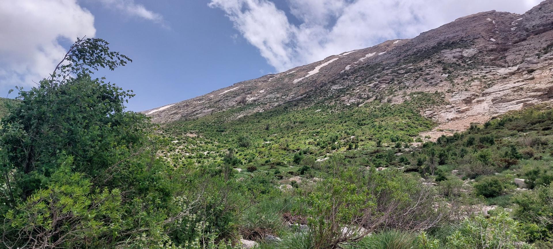 عکس کوه تویه