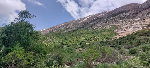 عکس کوه تویه