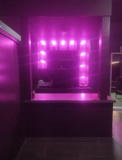 عکس کافه کارائیب