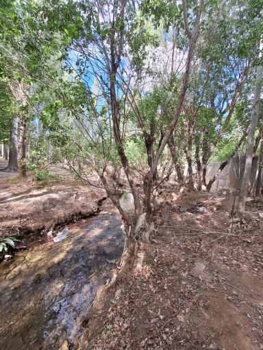 عکس چشمه بیشه اسفرجان