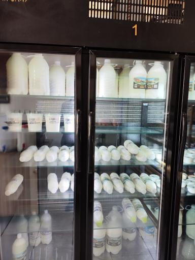 عکس دوغ دونی 