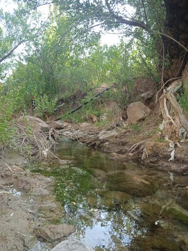 عکس چشمه بیشه اسفرجان