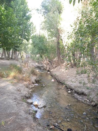 عکس چشمه بیشه اسفرجان