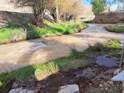 عکس چشمه بیشه اسفرجان
