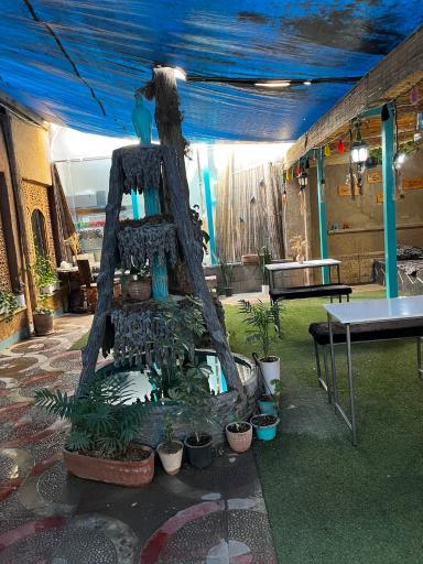 عکس کافه سالیز