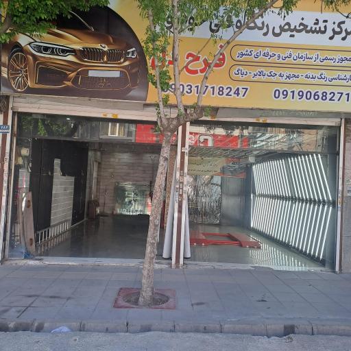 عکس کارشناسی و تشخیص رنگ و بدنه فرح دل