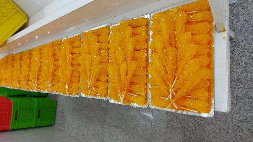 عکس نبات شاخه طلا