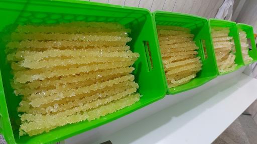 عکس نبات شاخه طلا