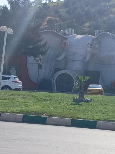 عکس فیل و فنجون