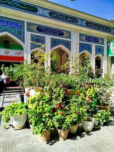 عکس امامزاده سید محمد والی