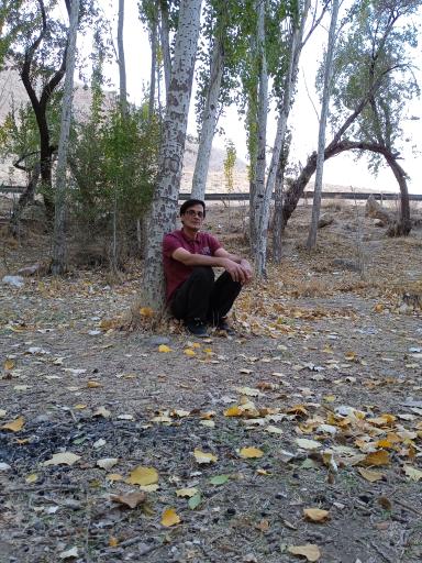 عکس چشمه بیشه اسفرجان