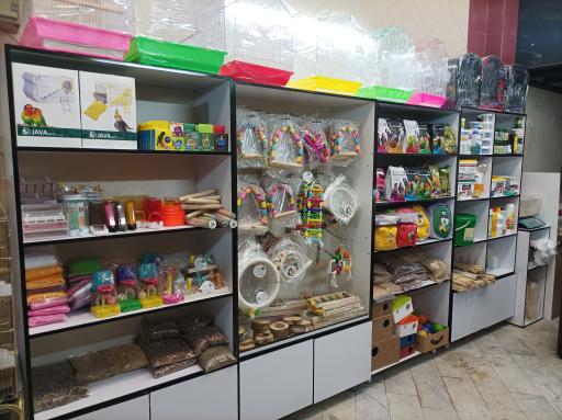 عکس پرنده سرای نگاه