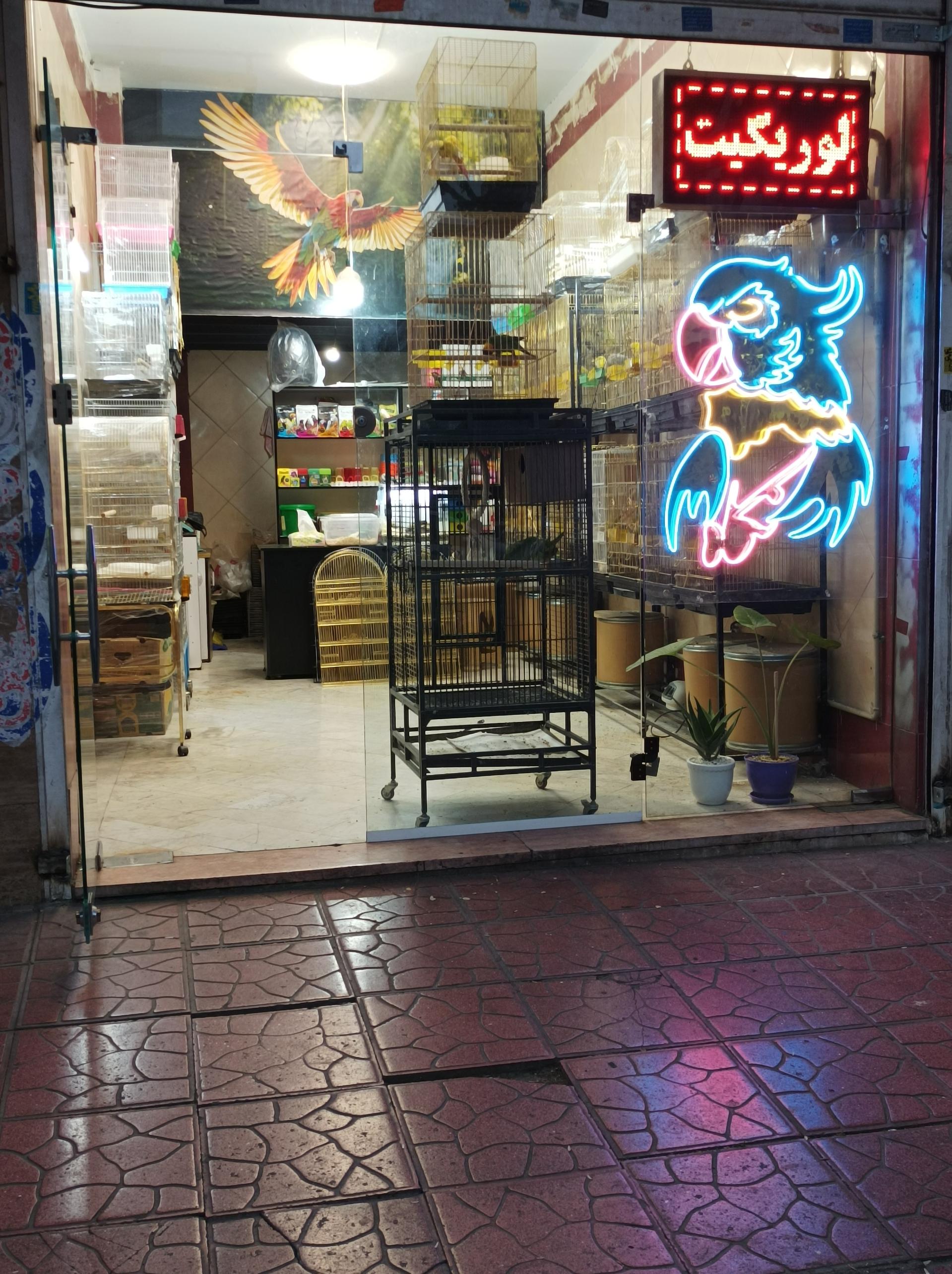 عکس پرنده سرای نگاه