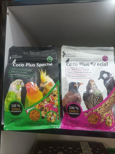 عکس پرنده سرای نگاه