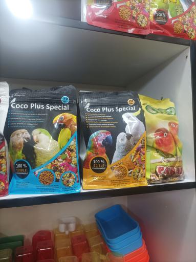 عکس پرنده سرای نگاه