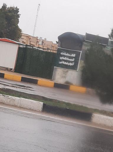 عکس گلخانه گیاهان آپارتمانی 