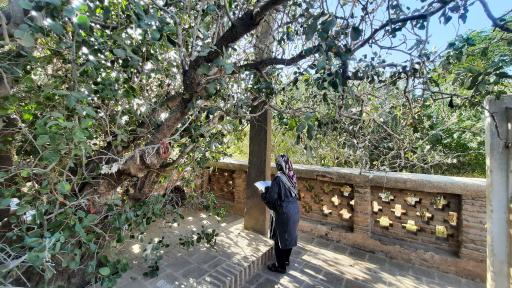 عکس آرامگاه حافظ ابرو