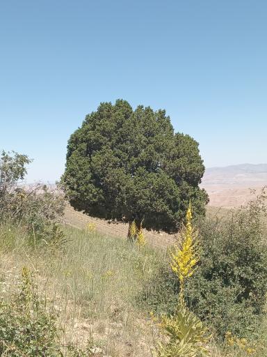 عکس گردنه اسدلی