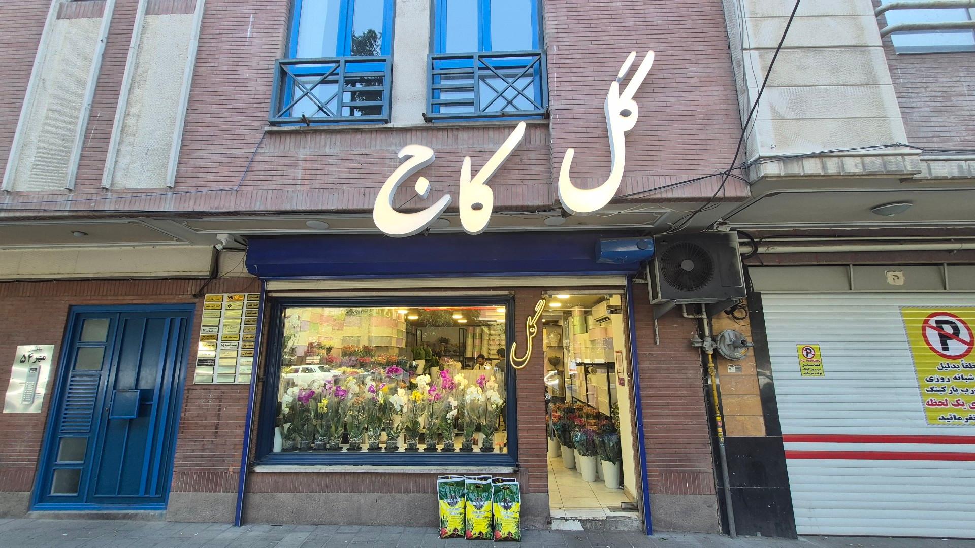 عکس گلفروشی کاج