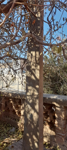 عکس آرامگاه حافظ ابرو