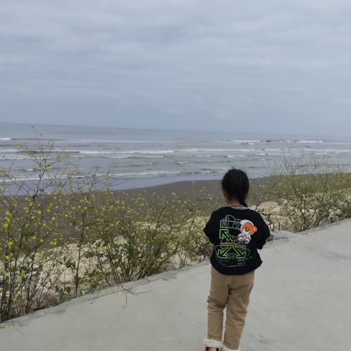 عکس ساحل ماسه ای شهرک مخابرات 