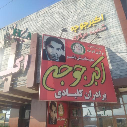 عکس شعبه 2 اکبر جوجه