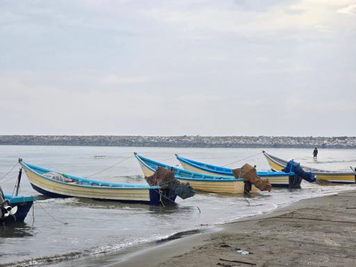 پارک ساحلی لیدو