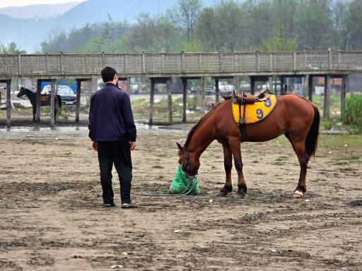 پارک ساحلی لیدو