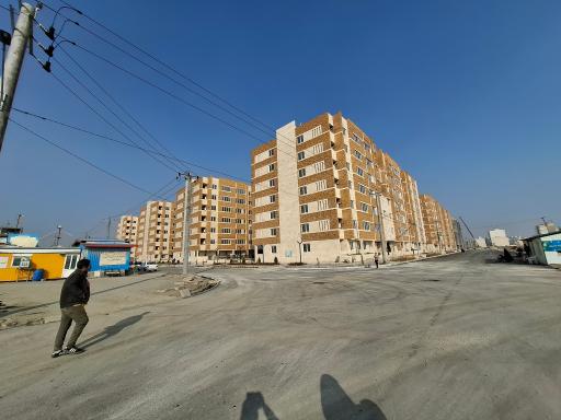 مجتمع طلائیه