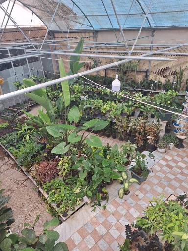 عکس گلسرای خانه سبز