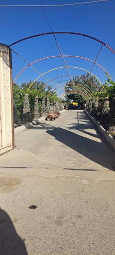 عکس دهکده زندگی