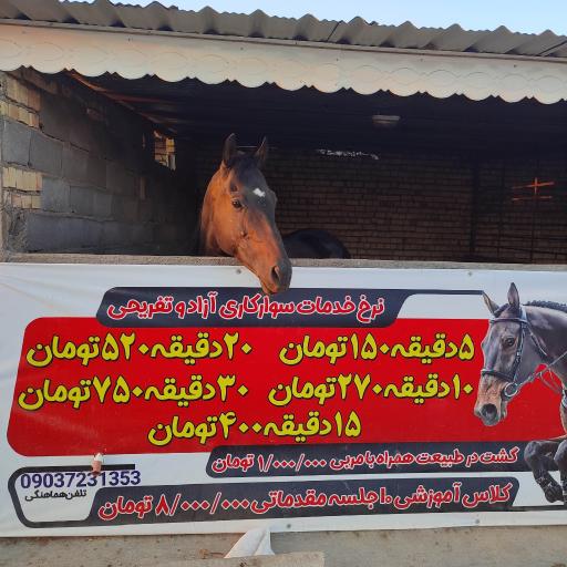 عکس دهکده زندگی