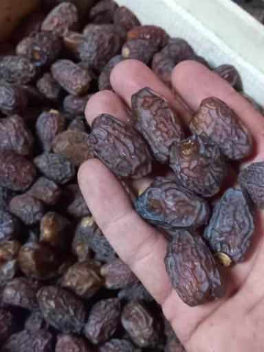عکس فروشگاه گل ریحان نگار