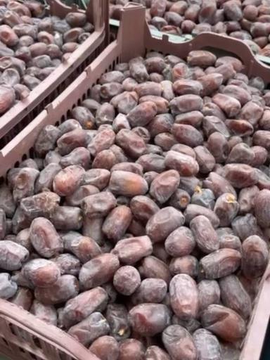 عکس فروشگاه گل ریحان نگار