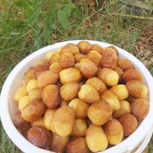 عکس فروشگاه گل ریحان نگار
