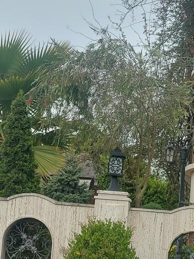 عکس مجتمع فرهنگیان دهکده ساحلی