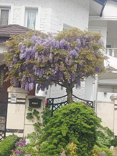 عکس مجتمع فرهنگیان دهکده ساحلی