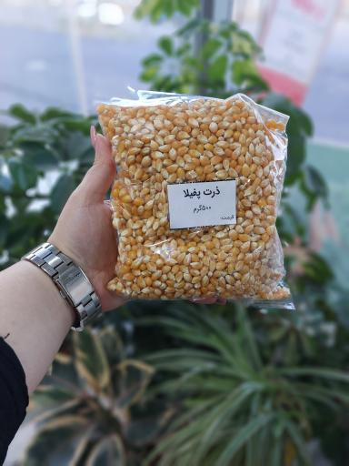 عکس سبزیجات آماده طبخ تربچه پلاس