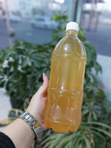 عکس سبزیجات آماده طبخ تربچه پلاس