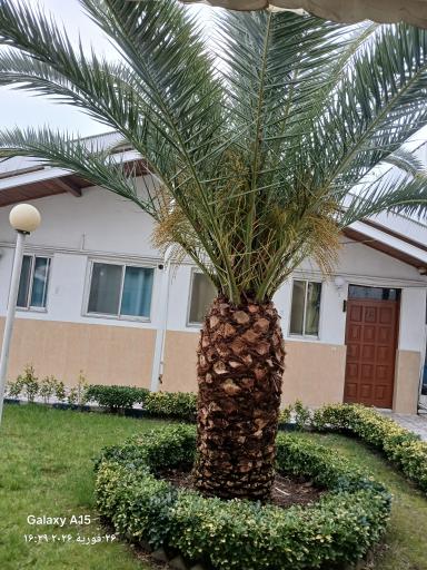 عکس مجتمع فرهنگیان دهکده ساحلی