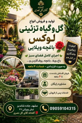 عکس آقای گل نصری
