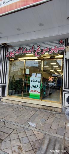 عکس شهر مرغ  اسدالله پور