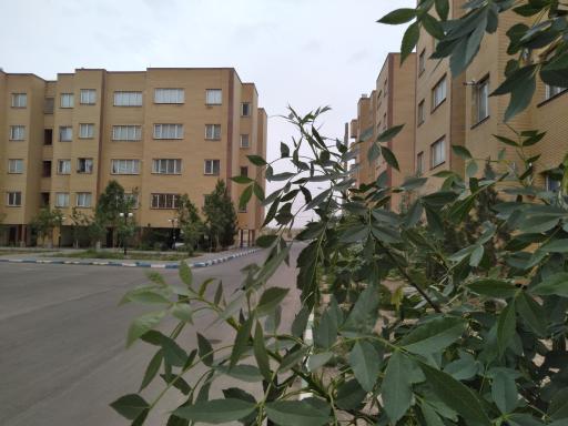 عکس مجتمع فرهنگیان تبادکان