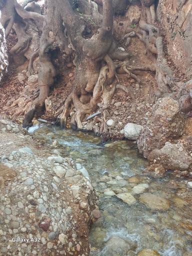 عکس قله قلات روستای قلات شیراز