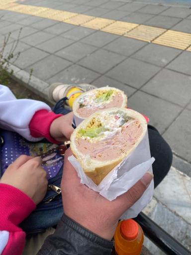 عکس ساندویچ سرد پایا ویچ