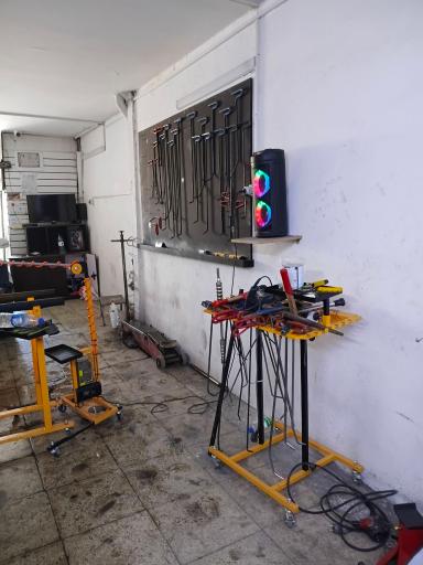 عکس صافکاری اژدری