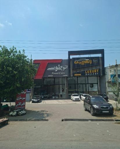 اتو طوسی