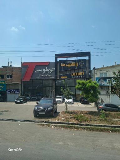 اتو طوسی