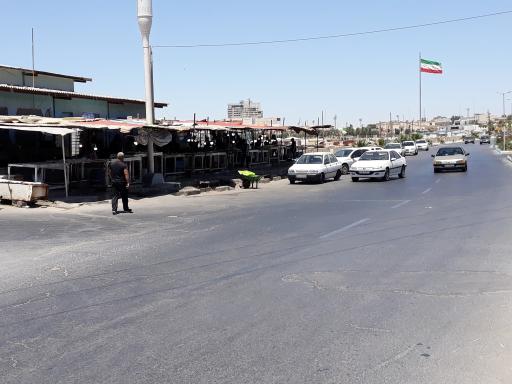 عکس بازار موقت ماهی فروشان